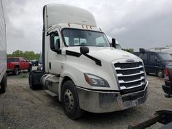Salvage trucks for sale at Glassboro, NJ auction: 2019 Freightliner Cascadia 126