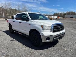 Salvage trucks for sale at North Billerica, MA auction: 2010 Toyota Tundra Crewmax SR5