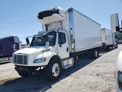 Salvage trucks for sale at Loganville, GA auction: 2023 Freightliner M2 106 Medium Duty