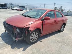 Salvage cars for sale from Copart Sun Valley, CA: 2010 Toyota Corolla Base