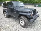 1999 Jeep Wrangler / TJ Sport