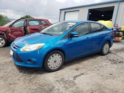 Ford Focus SE salvage cars for sale: 2013 Ford Focus SE