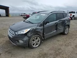 Salvage cars for sale at Helena, MT auction: 2019 Ford Escape SEL