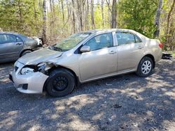 Salvage cars for sale from Copart Bowmanville, ON: 2010 Toyota Corolla Base