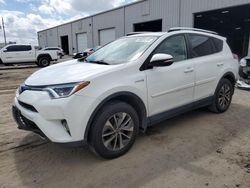 Salvage cars for sale at Jacksonville, FL auction: 2016 Toyota Rav4 HV XLE