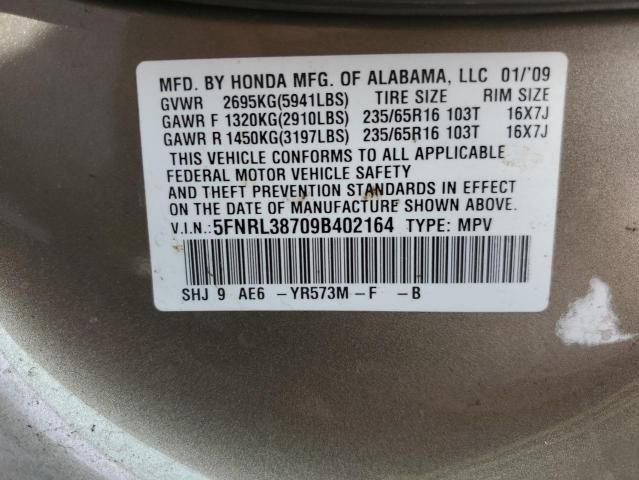 2009 Honda Odyssey EXL