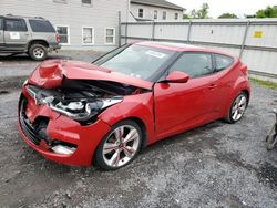 Salvage cars for sale at York Haven, PA auction: 2013 Hyundai Veloster