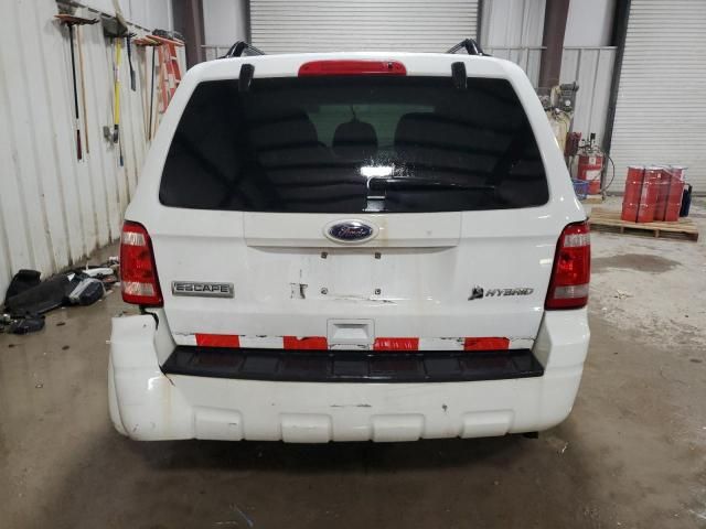 2010 Ford Escape Hybrid