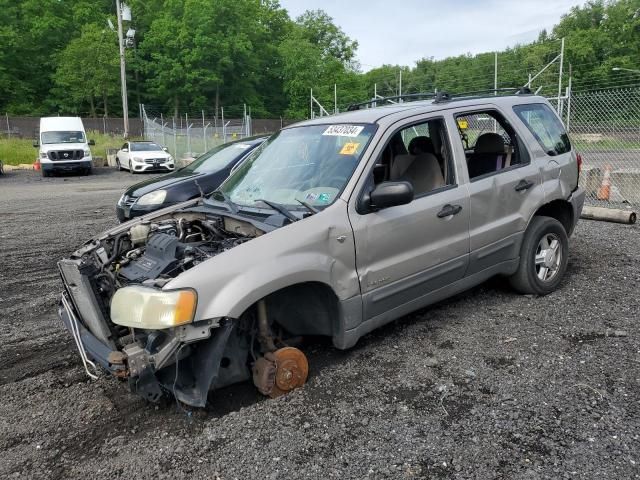 2001 Ford Escape XLT