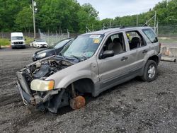 Salvage cars for sale at Finksburg, MD auction: 2001 Ford Escape XLT