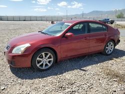 Nissan salvage cars for sale: 2008 Nissan Maxima SE