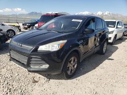 Salvage cars for sale from Copart Magna, UT: 2014 Ford Escape SE