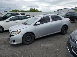 Salvage cars for sale from Copart Albany, NY: 2009 Toyota Corolla Base