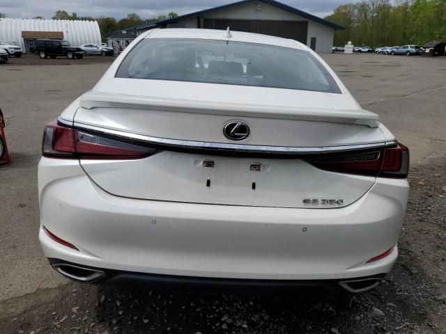 2020 Lexus ES 350