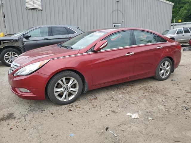 2011 Hyundai Sonata SE