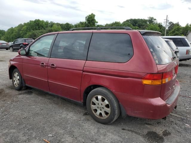 2002 Honda Odyssey EXL