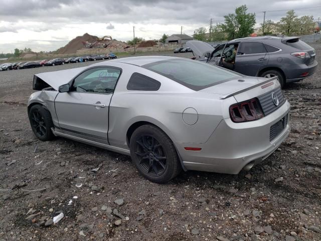 2013 Ford Mustang