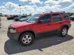 2002 Ford Escape XLT