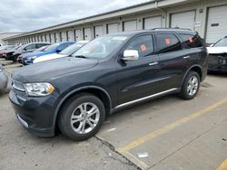 Salvage cars for sale at Louisville, KY auction: 2011 Dodge Durango Crew