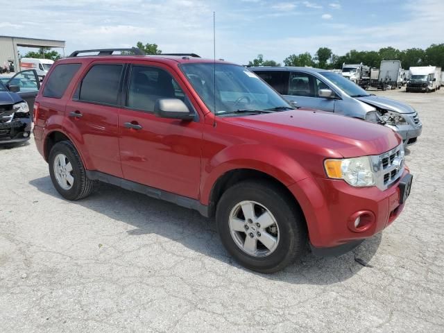 2011 Ford Escape XLT