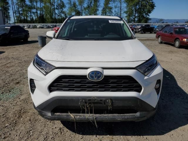 2020 Toyota Rav4 XLE