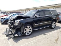 Salvage cars for sale at Louisville, KY auction: 2015 Cadillac Escalade Luxury