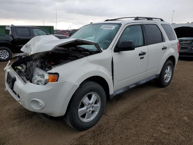 2010 Ford Escape XLT