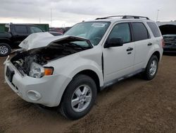 Ford Escape xlt salvage cars for sale: 2010 Ford Escape XLT