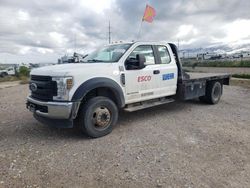 Salvage trucks for sale at Farr West, UT auction: 2019 Ford F550 Super Duty
