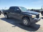 2005 Dodge Dakota Quad SLT