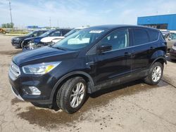 Salvage cars for sale from Copart Woodhaven, MI: 2019 Ford Escape SE