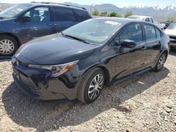 2023 Toyota Corolla LE for sale in Magna, UT