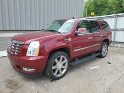 Salvage cars for sale from Copart West Mifflin, PA: 2008 Cadillac Escalade Luxury