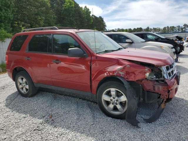 2011 Ford Escape XLT