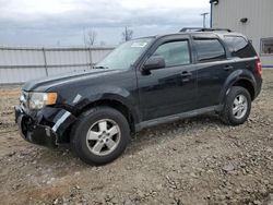 Ford salvage cars for sale: 2009 Ford Escape XLT