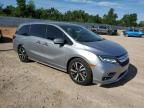 2020 Honda Odyssey Elite