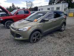 Salvage cars for sale from Copart Graham, WA: 2013 Ford Escape SE