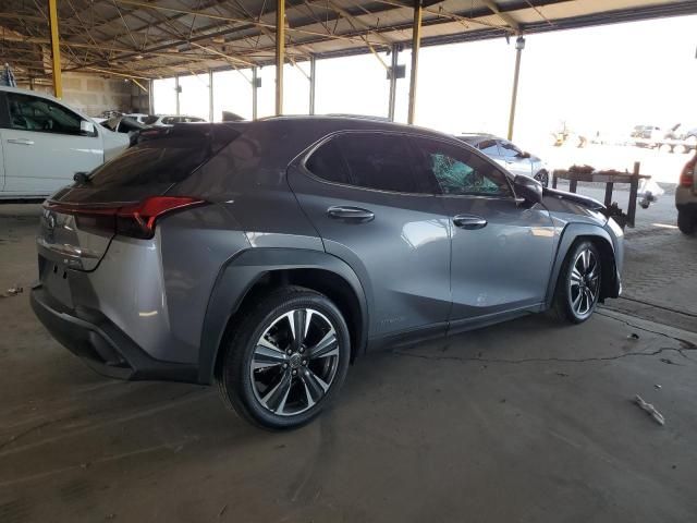 2019 Lexus UX 250H