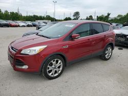 Salvage cars for sale at Earlington, KY auction: 2013 Ford Escape SEL