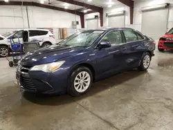 Salvage cars for sale at Avon, MN auction: 2015 Toyota Camry Hybrid