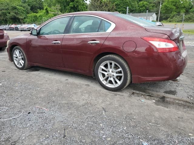 2009 Nissan Maxima S