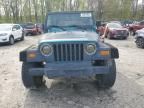 1998 Jeep Wrangler / TJ Sport