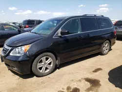 Salvage cars for sale at Elgin, IL auction: 2010 Honda Odyssey Touring