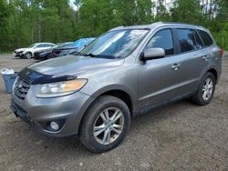 Hyundai Santa fe gls Vehiculos salvage en venta: 2011 Hyundai Santa FE GLS