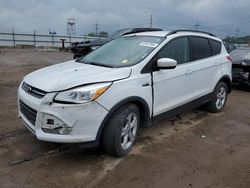 Vehiculos salvage en venta de Copart Chicago Heights, IL: 2014 Ford Escape SE