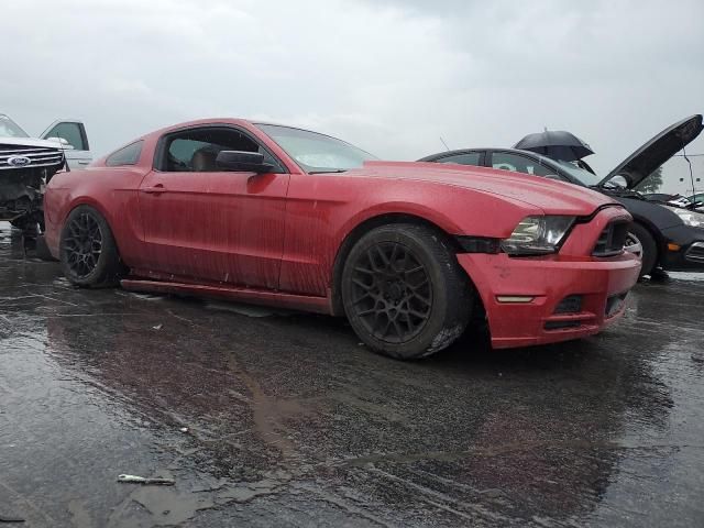 2013 Ford Mustang