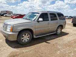 Salvage cars for sale at Amarillo, TX auction: 2002 Cadillac Escalade Luxury