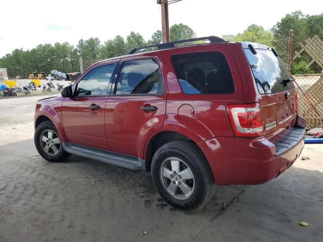 2011 Ford Escape XLT