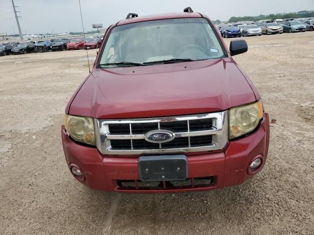 2008 Ford Escape XLT