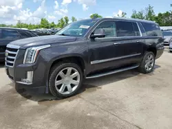 Salvage cars for sale at Bridgeton, MO auction: 2017 Cadillac Escalade ESV Luxury